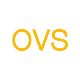 Logo of OVS Group