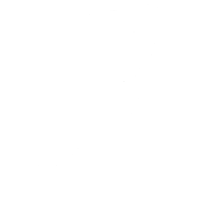 lid-icon